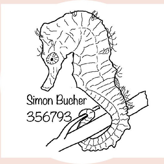 rundstempel-279547.jpg 279547
