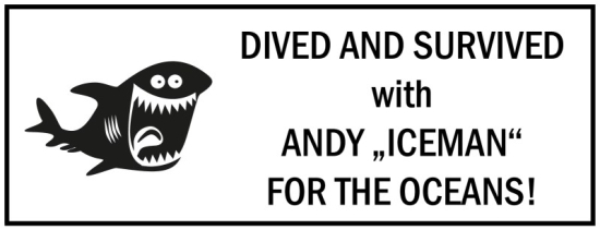 Tampons comptabilité