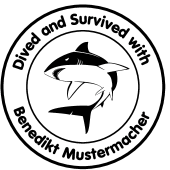 Duikstempels   – Ontwerp en bestel uw eigen spreuken 